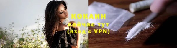 молекула духа Лихославль
