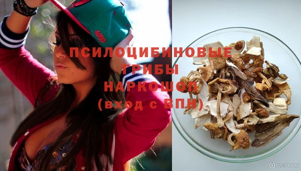 эйфоретик Липки