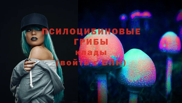 эйфоретик Липки