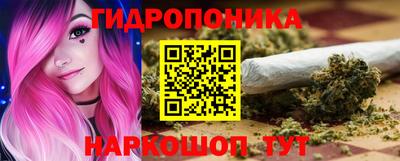 прущие грибы Волгодонск