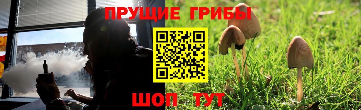 Псилоцибиновые грибы GOLDEN TEACHER Всеволожск