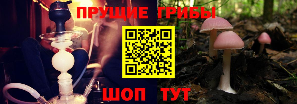 Галлюциногенные грибы MAGIC MUSHROOMS Всеволожск