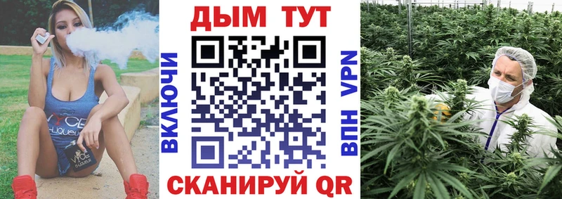 Канабис конопля  Всеволожск 